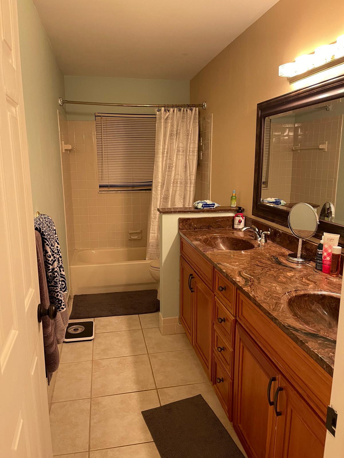 Bathroom before